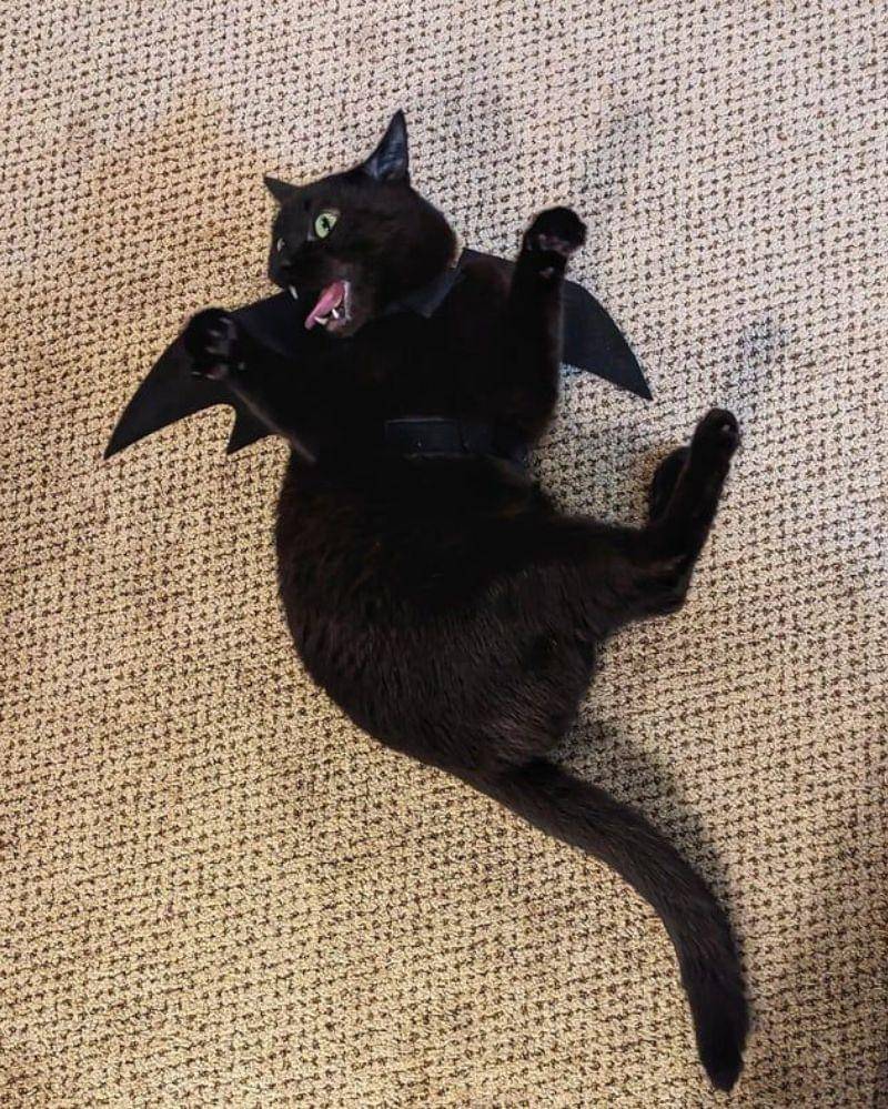 reddit.com/user/MrE008